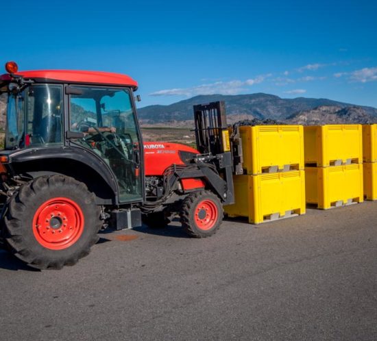 Okanagan Vineyard: Photography by Darlene West