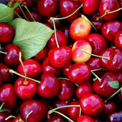 Cherry Season, Leite’s Culinaria by Darlene West